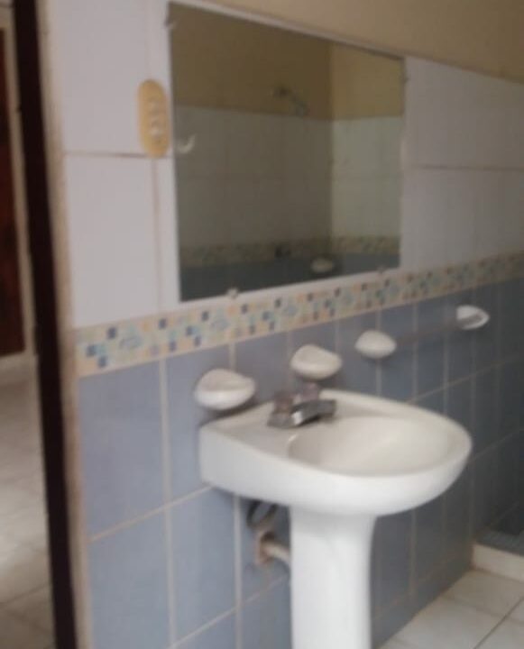 169144569_1847394192095715_4851982250290881425_n