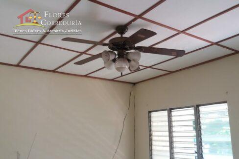 172576065_1847394145429053_8228841404185698120_n