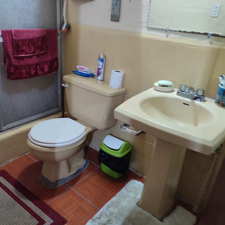 313194676_532580832208468_488904530751112402_n