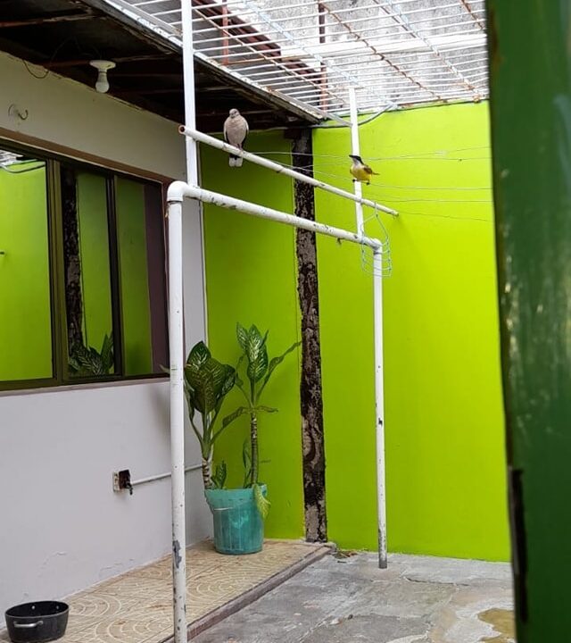 332733955_1539392976586519_1664788768170423401_n