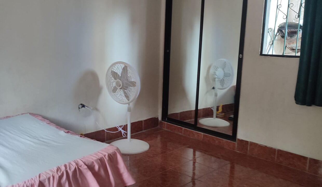 337246203_1247225646000691_8429461626971875438_n