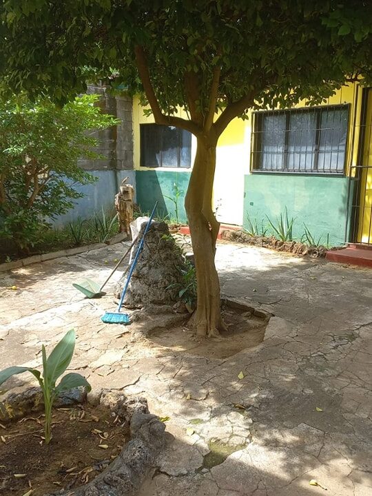 355484824_725286699604546_4291866209928274349_n