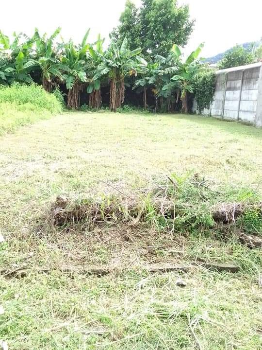 Imagen de WhatsApp 2023-06-20 a las 20.27.26