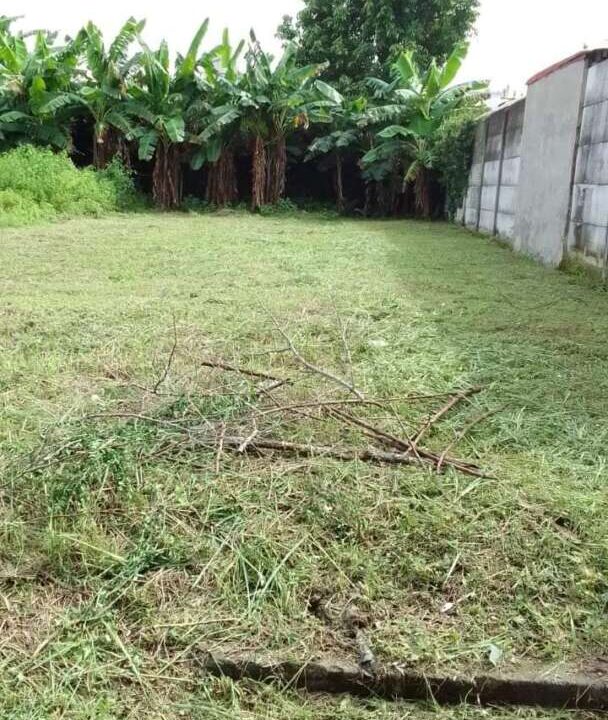 Imagen de WhatsApp 2023-06-20 a las 20.27.26.