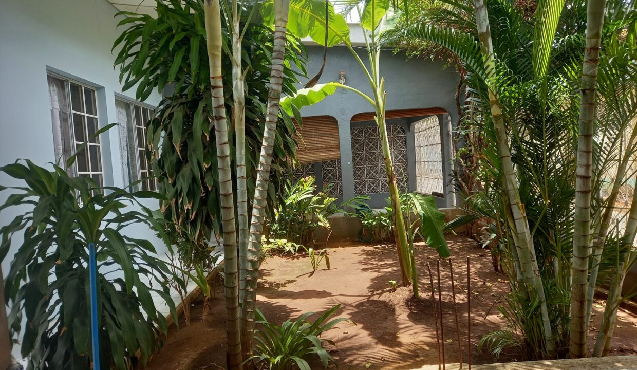 459774796_889622619883426_8472592562102211233_n