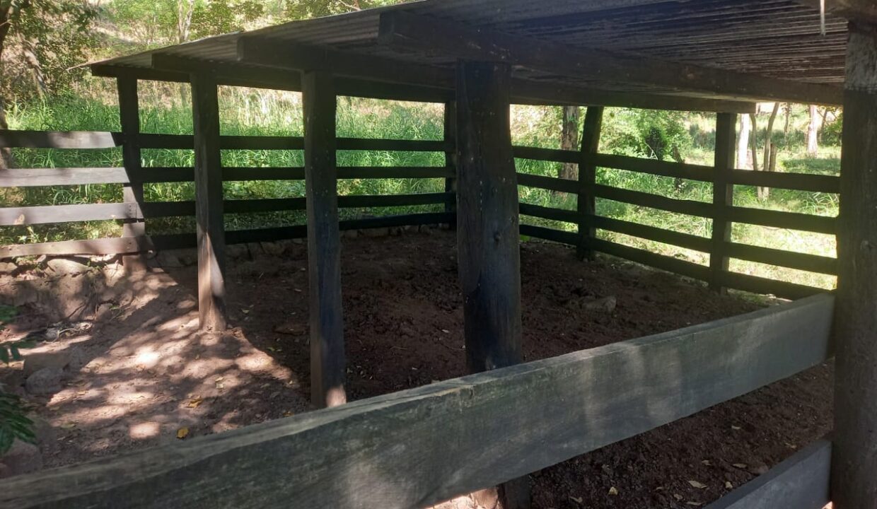 WhatsApp Image 2026-01-26 at 5.28.24 PM (3)