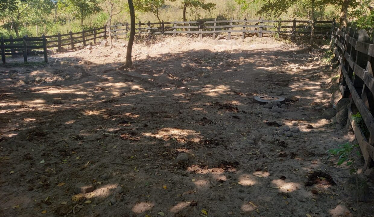 WhatsApp Image 2026-01-26 at 5.28.26 PM