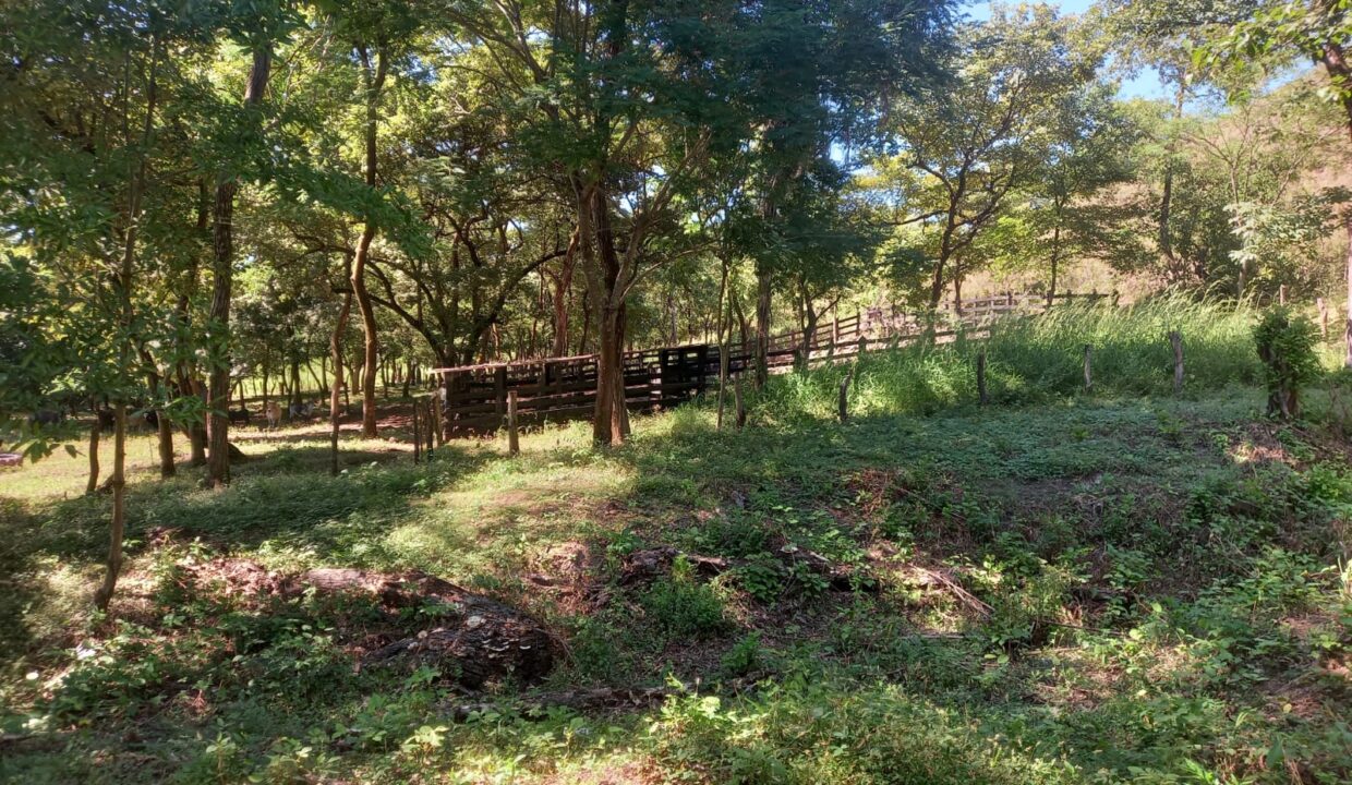 WhatsApp Image 2026-01-26 at 5.28.28 PM