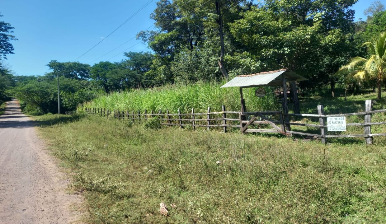 WhatsApp Image 2026-01-26 at 5.28.29 PM (1)