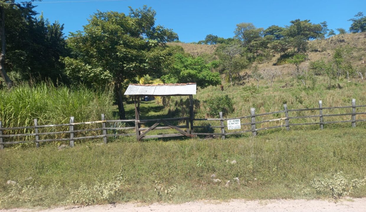 WhatsApp Image 2026-01-26 at 5.28.29 PM