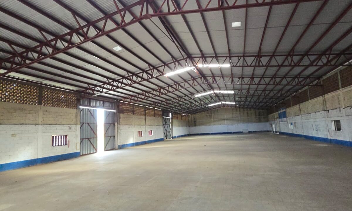 WhatsApp Image 2026-04-17 at 6.11.46 PM