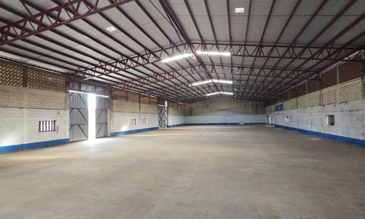 WhatsApp Image 2026-04-17 at 6.11.46 PM (2)